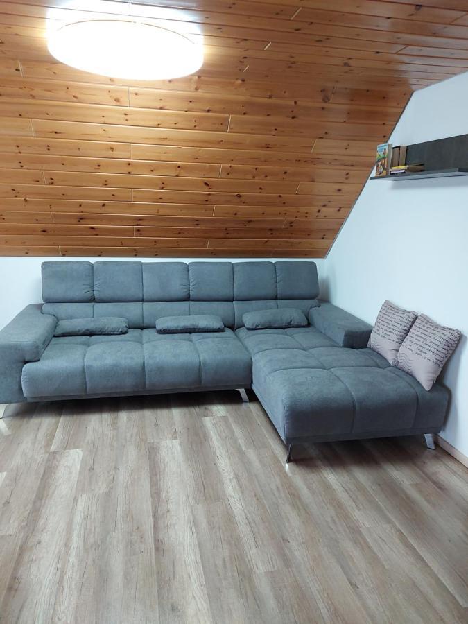 Bgi Wohnung Lahr  Εξωτερικό φωτογραφία